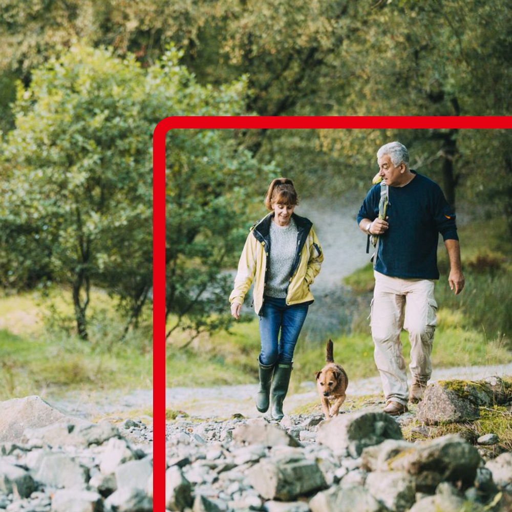 Specialist Mortgages 